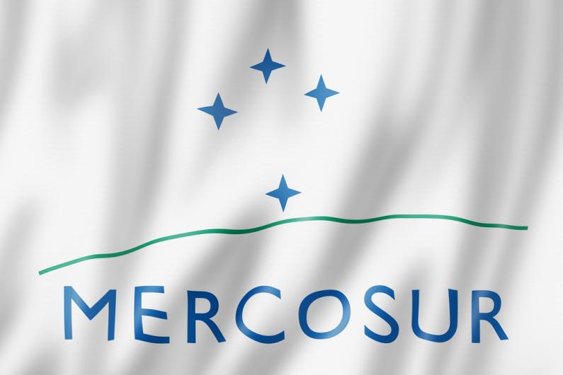 Alles über den Mercosur und seine mehrsprachige Übersetzung