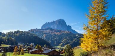 Ladinisch verstehen: Sprache, Geschichte, Dialekte und Übersetzungen